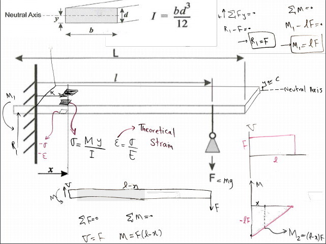 Find The Second Moment Of Area For Your Beam I Chegg Com