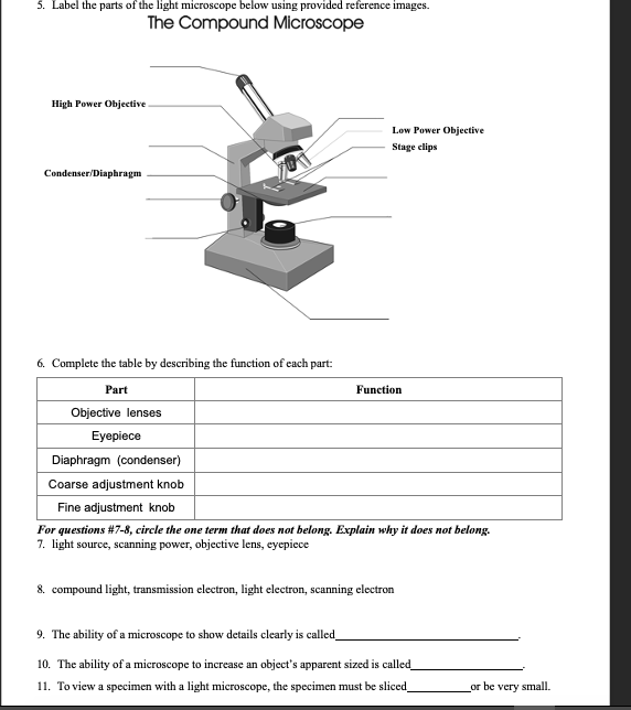 components of microscope and their function