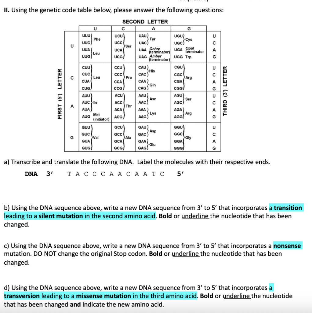 Ii Using The Genetic Code Table Below Please Answer 0539