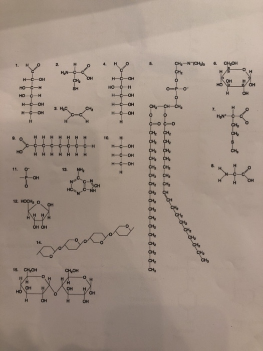 Solved 6-9. Use the Figure with Structures to answer | Chegg.com