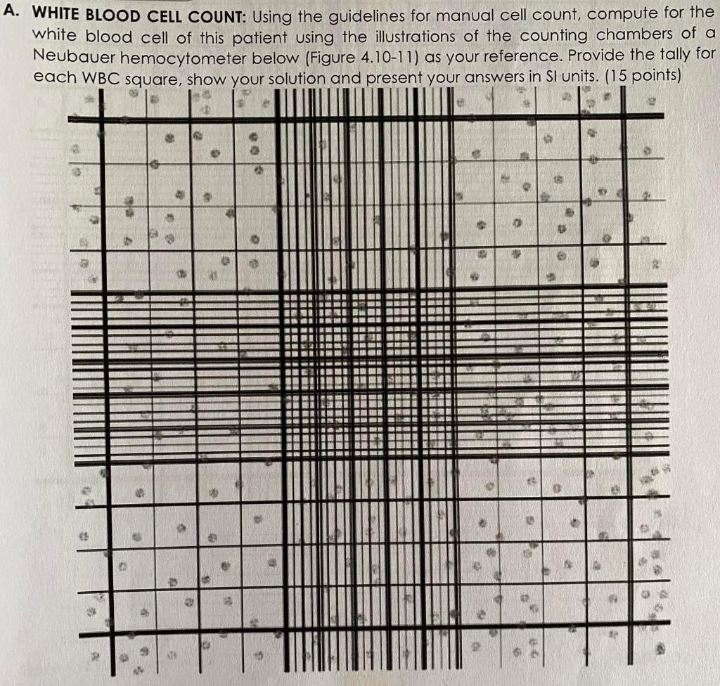 White Cell Count