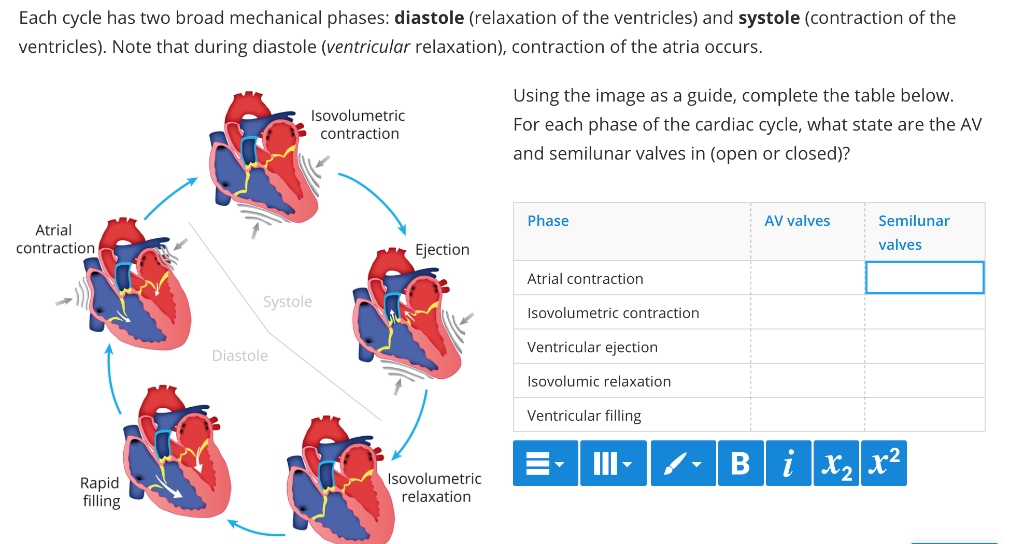 Solved Each cycle has two broad mechanical phases diastole