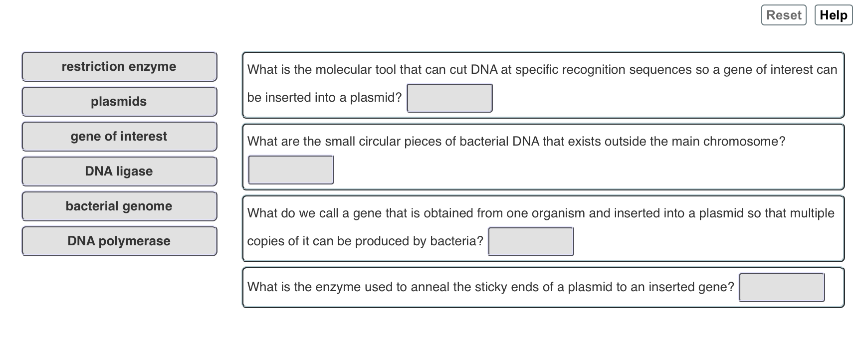 Solved Bacterium Cell Containing Gene Of Interest Gene 