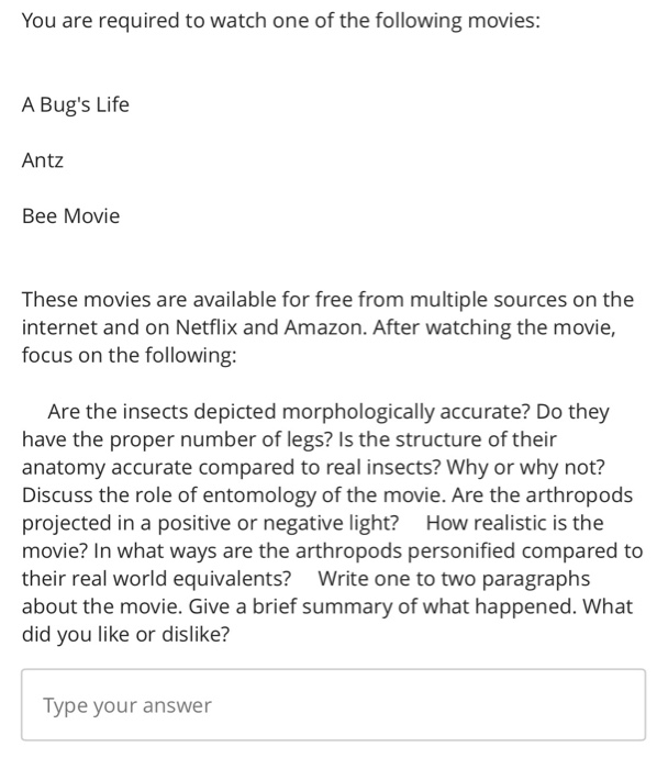 THE KING'S DAUGHTER RETRASO