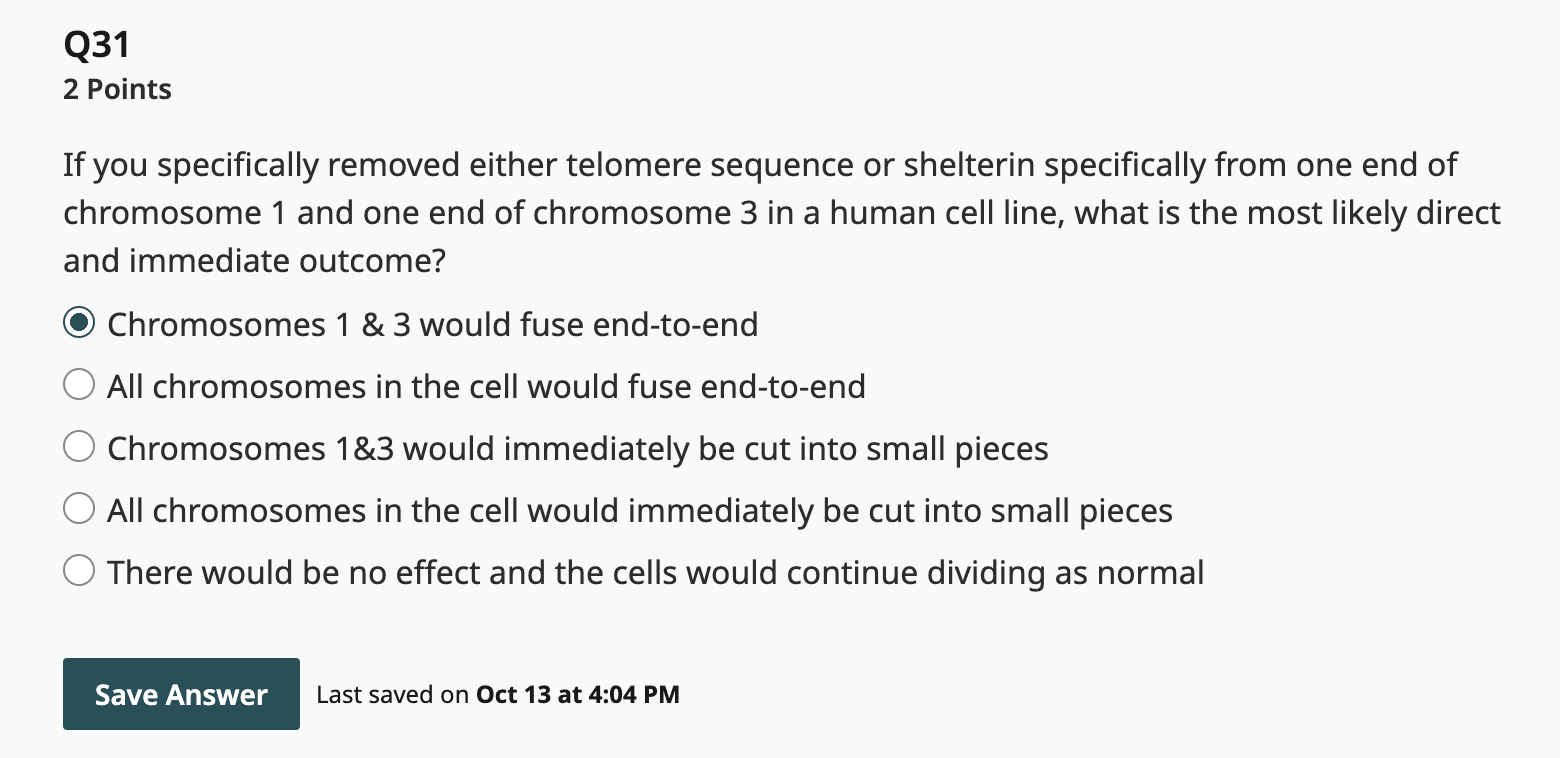 UNSW on X: Eventually, the telomere is too short – the cell stops dividing  and either destroys itself or becomes inactive. As we age, many of our  cells reach this stage, so