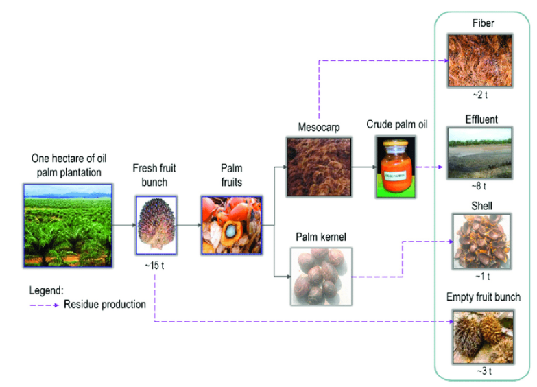 solved-the-figure-shows-four-outputs-from-palm-plantations-chegg