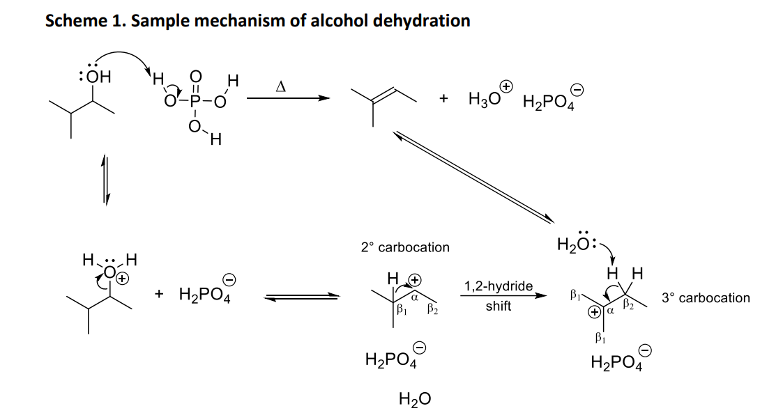 Solved Review the mechanism for the formation of the alkene | Chegg.com