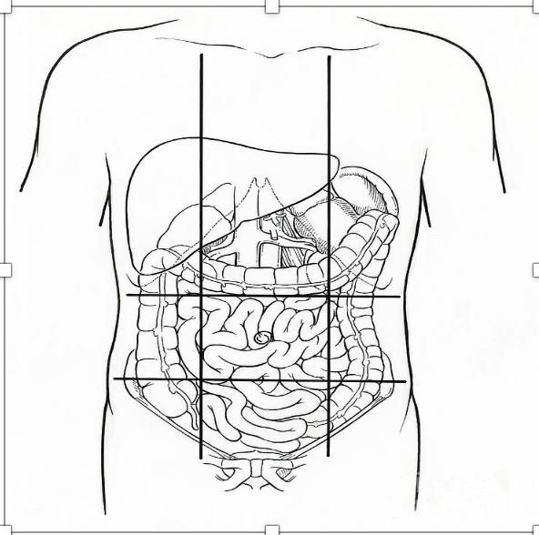 Solved: 1. Using The Diagram Below, List The Anatomical Pa... | Chegg.com