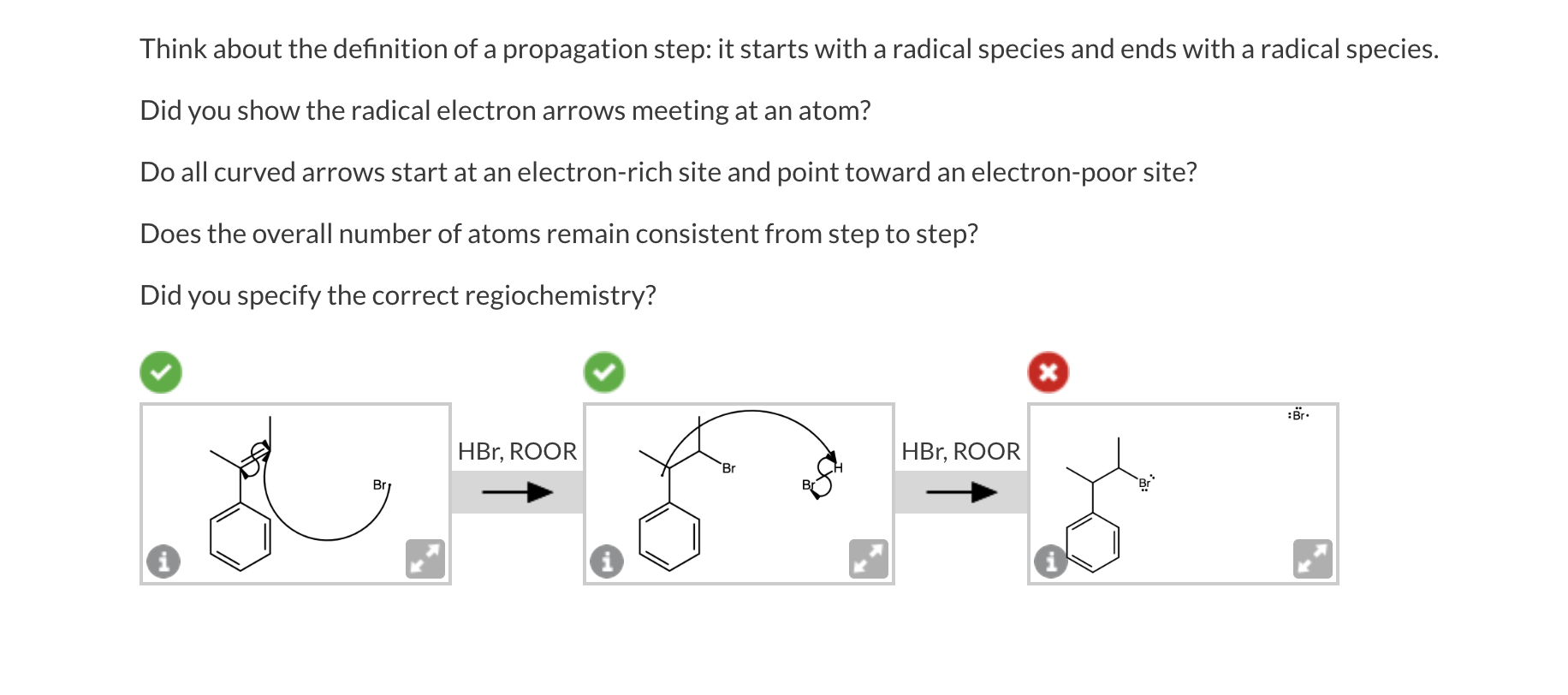 Think about the definition of a propagation step: it starts with a radical species and ends with a radical species.
Did you s