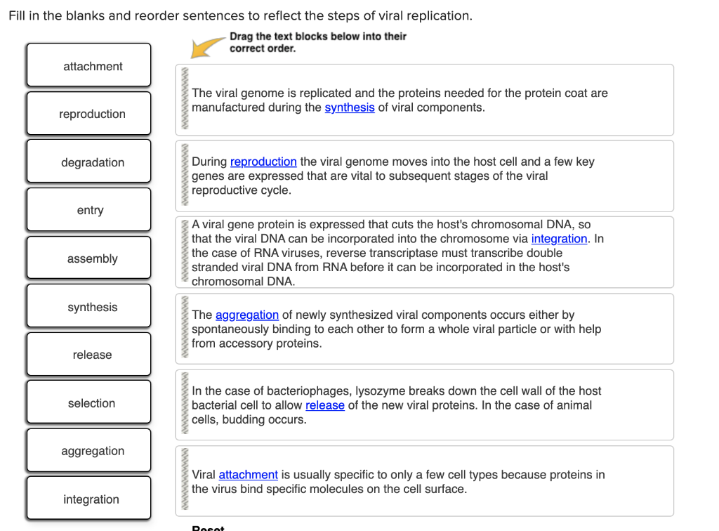 Solved Fill in the blanks and reorder sentences to reflect | Chegg.com