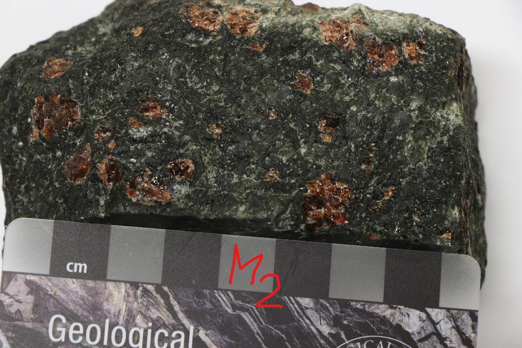 Solved METAMORPHIC ROCK NUMBER 1 (M1) Texture (4 marks) | Chegg.com