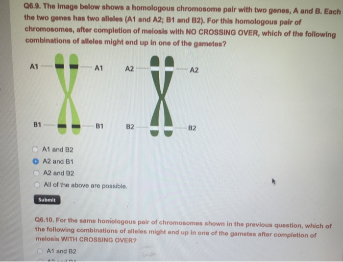 Biology Archive | November 06, 2018 | Chegg.com