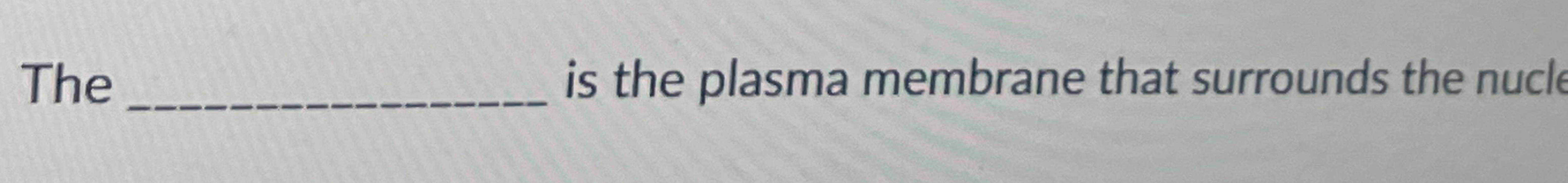 Solved Theis the plasma membrane that surrounds the nucleus | Chegg.com