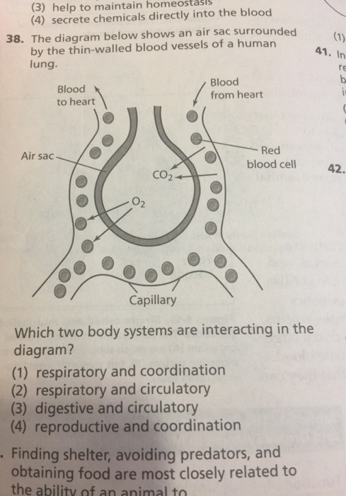 Solved 31. The diagram below represents a cell in water. | Chegg.com
