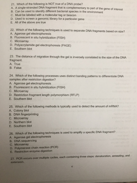 Solved 21. Which of the following is NOT true of a DNA | Chegg.com