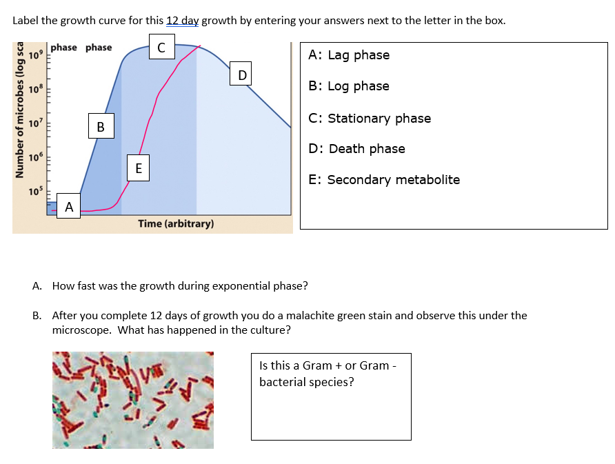 Solved For this problem, you have already determined the | Chegg.com