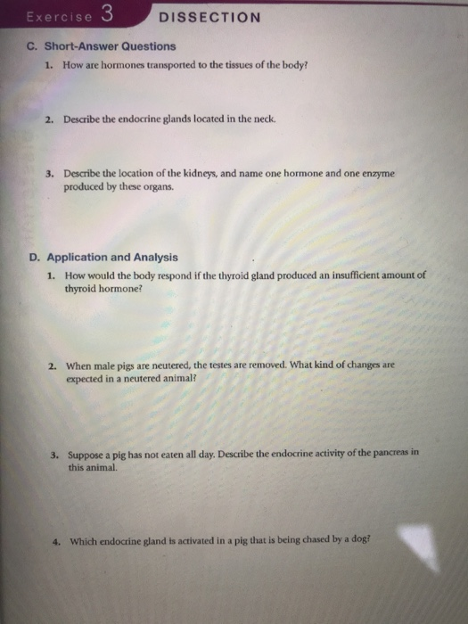 Solved Exercise DISSECTION C. ShortAnswer Questions 1. How
