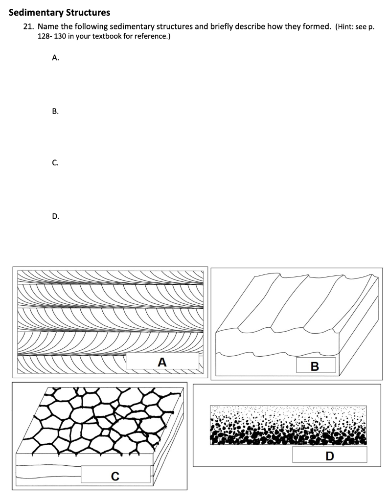 Sedimentary Structures
21. Name the following sedimentary structures and briefly describe how they formed. (Hint: see p. 128-