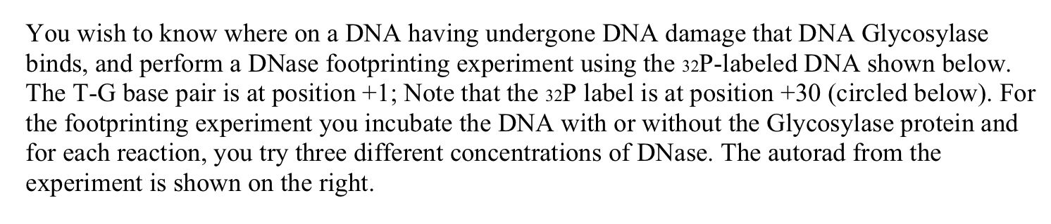 Solved You wish to know where on a DNA having undergone DNA | Chegg.com