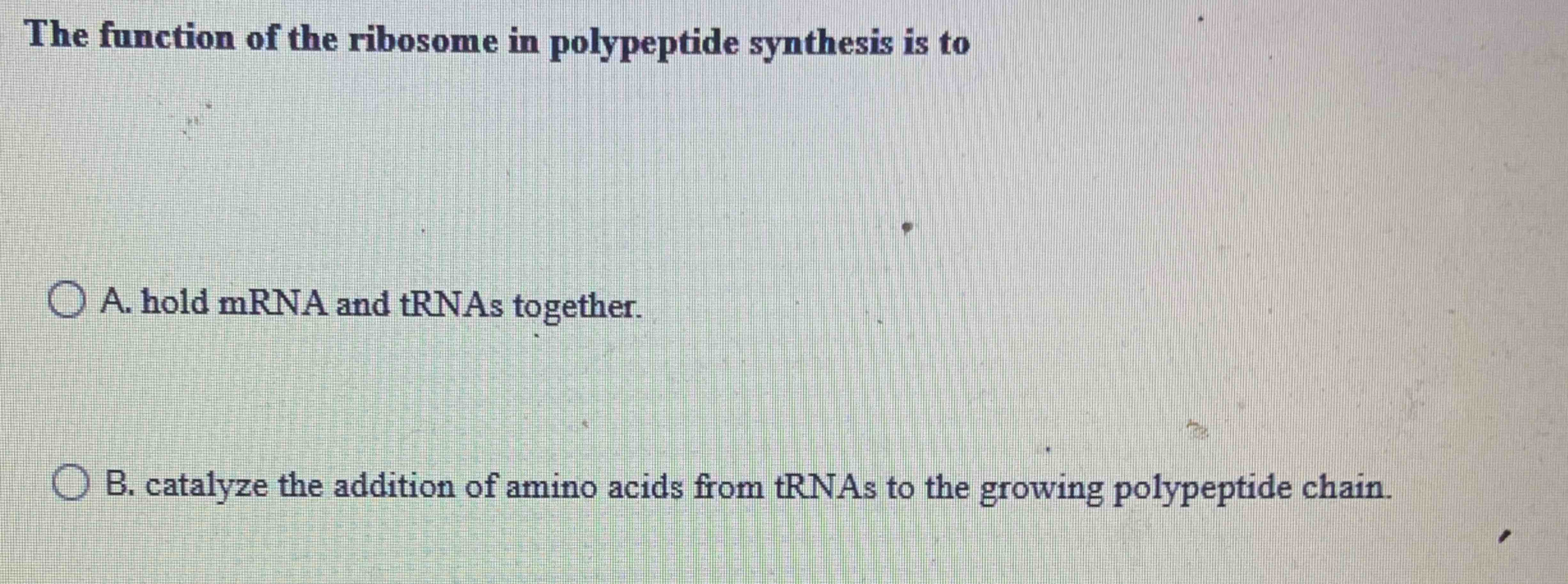 Solved The Function Of The Ribosome In Polypeptide Synthesis | Chegg.com