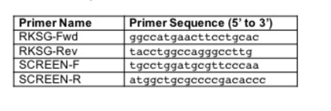 Solved Copy The Target DNA Sequence Image Given Below. | Chegg.com