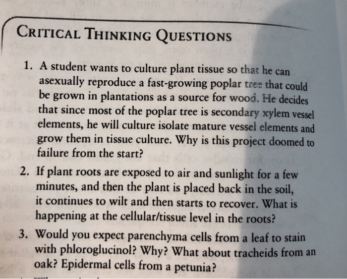 critical thinking questions about plants