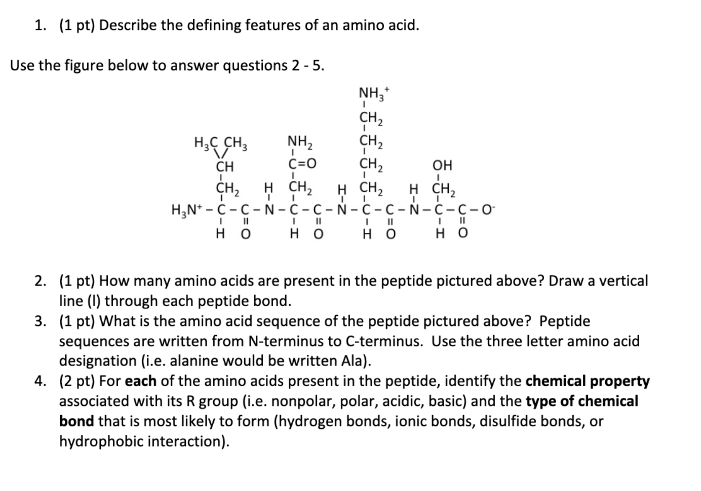 Solved 1. (1 pt) Describe the defining features of an amino | Chegg.com