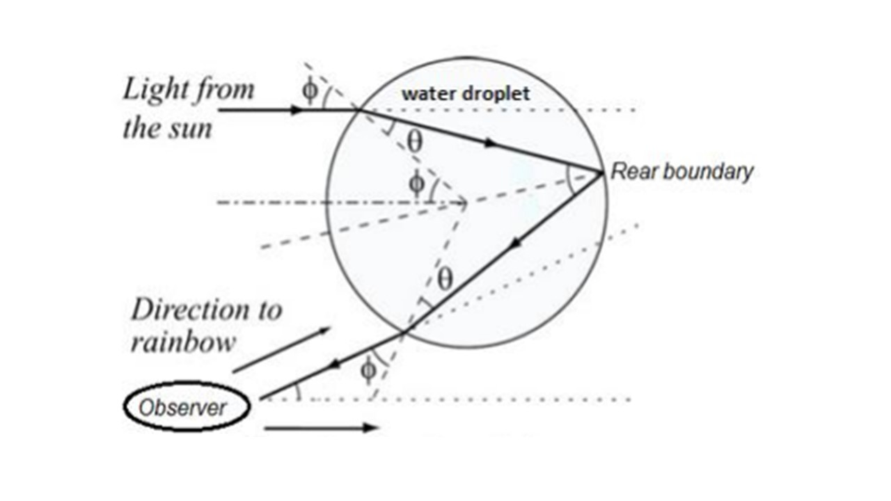 Solved The figure shows the path of the ray. As stated in | Chegg.com