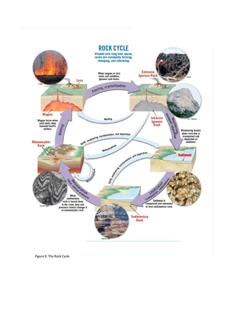 Solved Study the rock cycle diagram particularly the process | Chegg.com