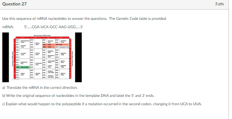 Solved Question 27 3 pts Use this sequence of mRNA | Chegg.com