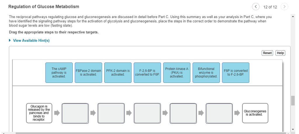Solved Regulation of Glucose Metabolism 12 of 12 The | Chegg.com