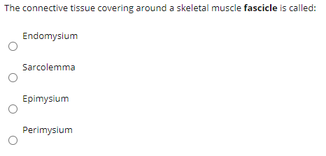 Solved The Connective Tissue Covering Around A Skeletal Chegg Com