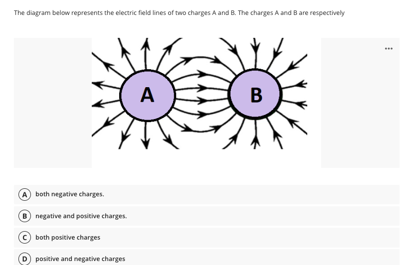 The diagram below represents the electric field lines | Chegg.com