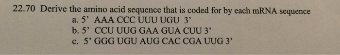 Solved Derive the amino acid sequence that is coded for by | Chegg.com