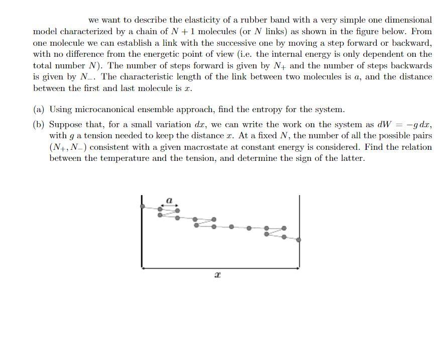 Solved we want to describe the elasticity of a rubber band