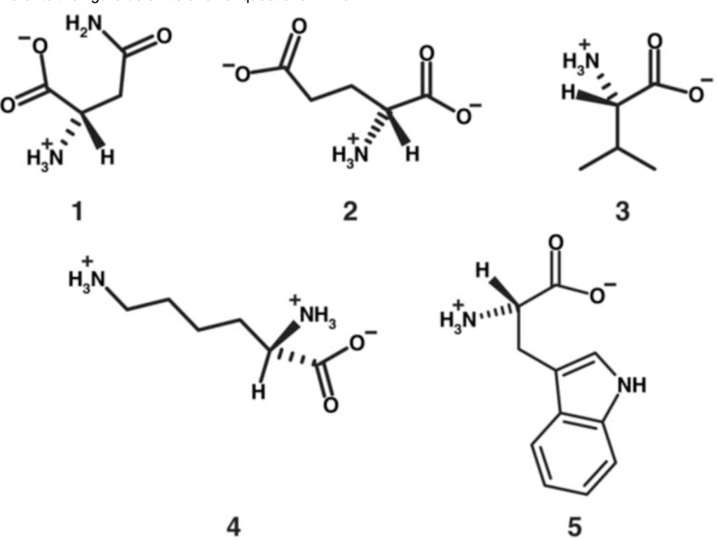 Solved A) Identify the threeletter code of amino acid