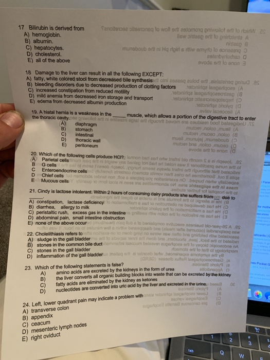 Solved 17 Bilirubin is derived from A) hemoglobin B) | Chegg.com