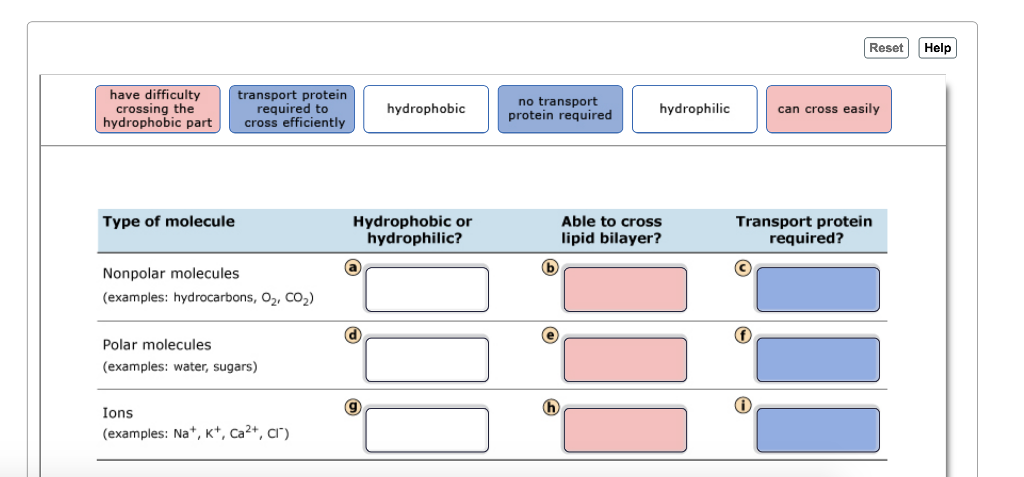 are-polar-molecules-able-to-cross-lipid-bilayer