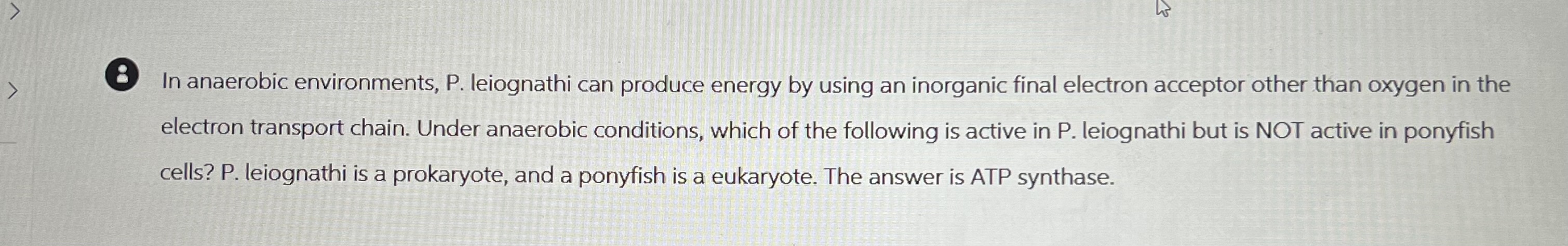 Solved 8 ﻿In anaerobic environments, P. ﻿leiognathi can | Chegg.com