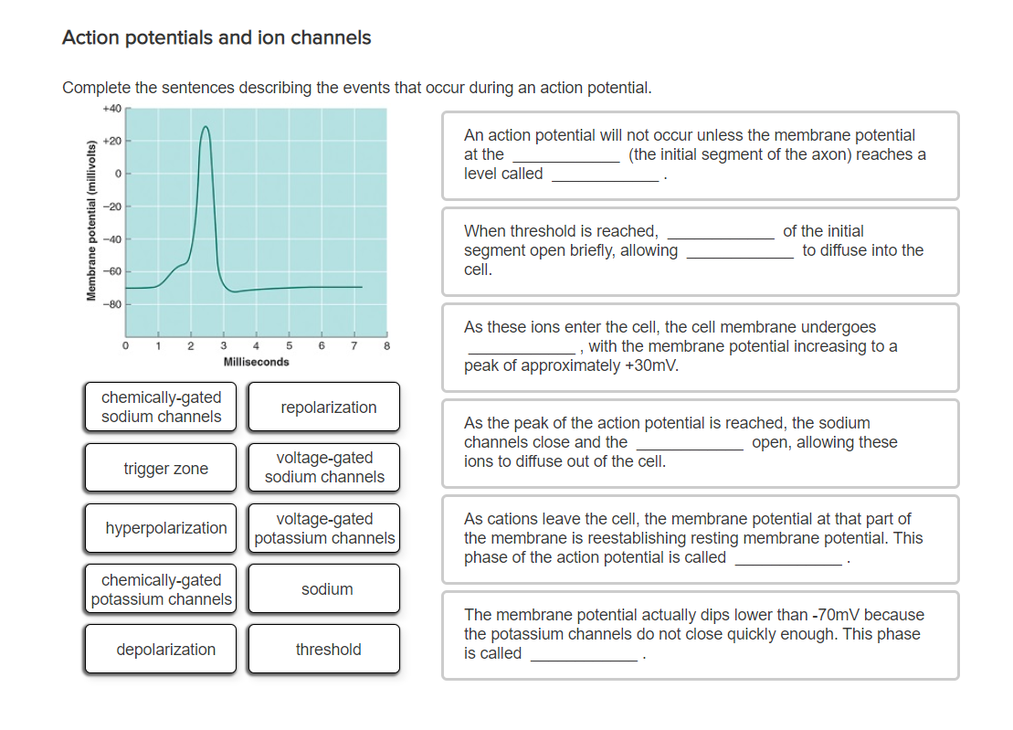 Solved Action potentials and ion channels Complete the | Chegg.com