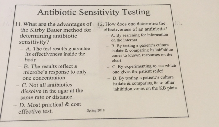 Solved Antibiotic Sensitivity Testing 11. What are the | Chegg.com