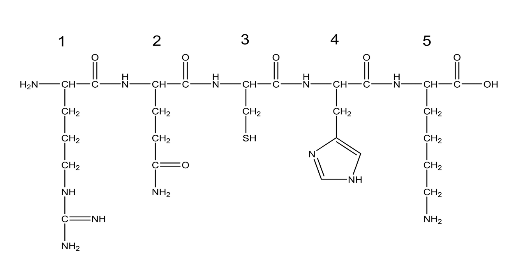 Solved Iodoacetamide Specifically Reacts With Cysteine