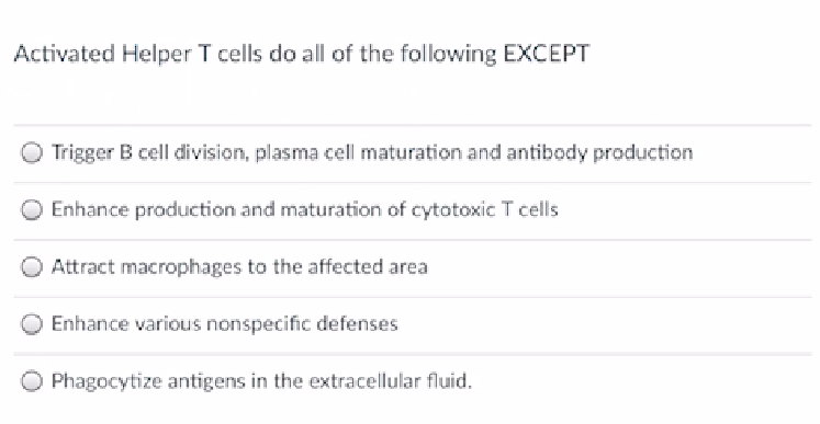 helper t cells stimulate all of the following cells except