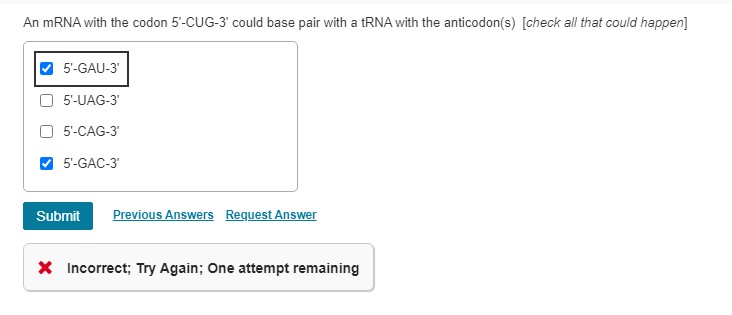 Solved An mRNA with the codon 5'-CUG-3' ﻿could base pair | Chegg.com