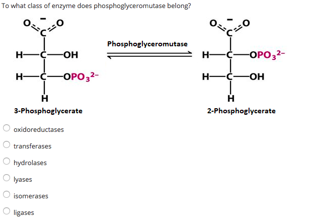 Solved To what class of enzyme does phosphoglyceromutase | Chegg.com