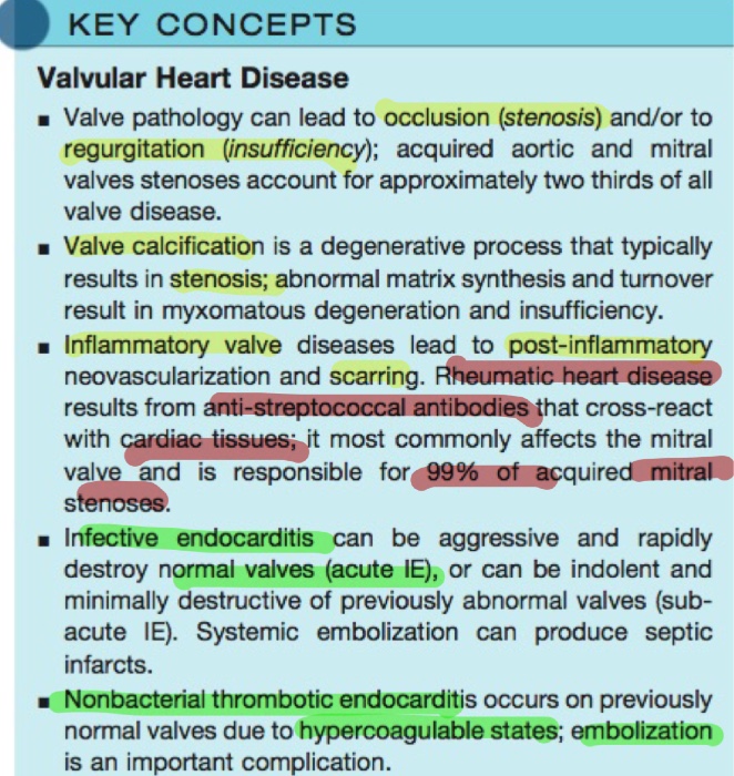 Dilated left ventricle with global hypokinesia. Libman-Sacks endocarditis:  1 of 4 