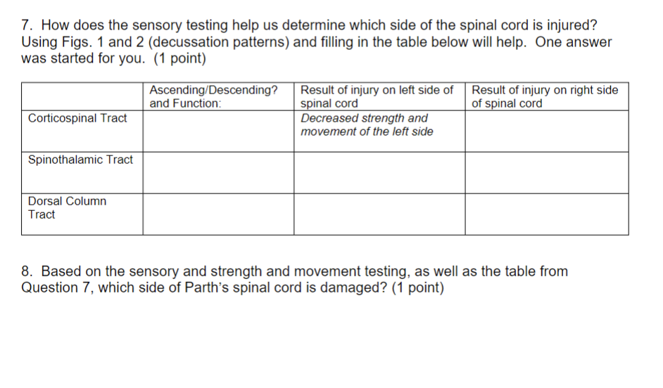 Solved 7. How does the sensory testing help us determine | Chegg.com