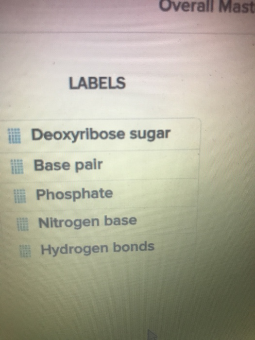 Solved DNA structure | Chegg.com