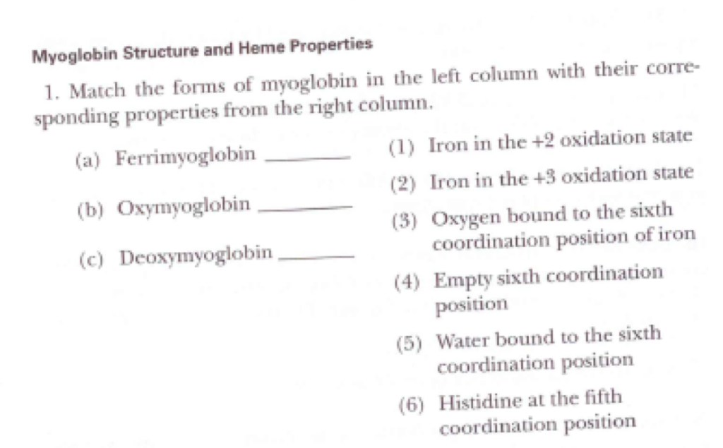 Solved Myoglobin Structure And Heme Properties 1. Match The | Chegg.com