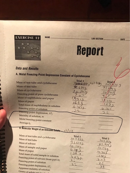 Solved LAB SECTION DATE NAME EXERCISE 12 Report Data and | Chegg.com